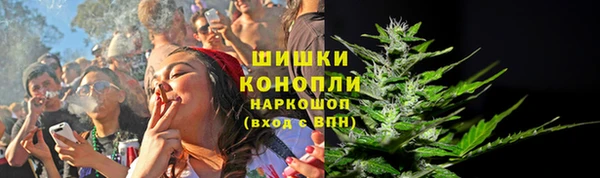 2c-b Вяземский