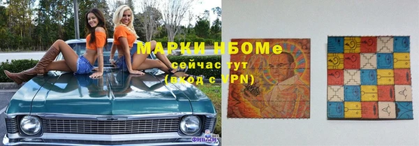 прущие грибы Горно-Алтайск