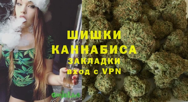 2c-b Вяземский