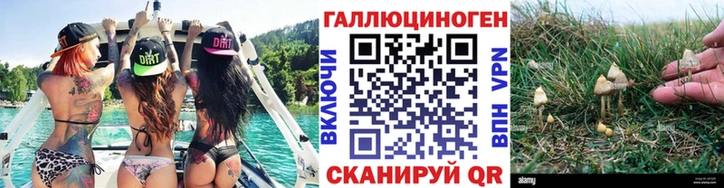 hydra как зайти  Балашиха  Галлюциногенные грибы мухоморы 